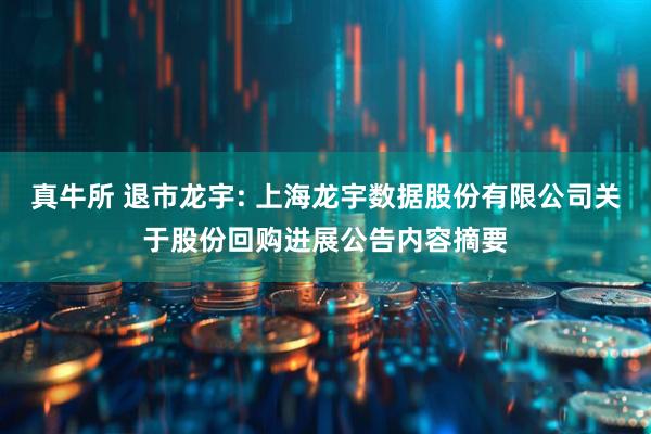 真牛所 退市龙宇: 上海龙宇数据股份有限公司关于股份回购进展公告内容摘要