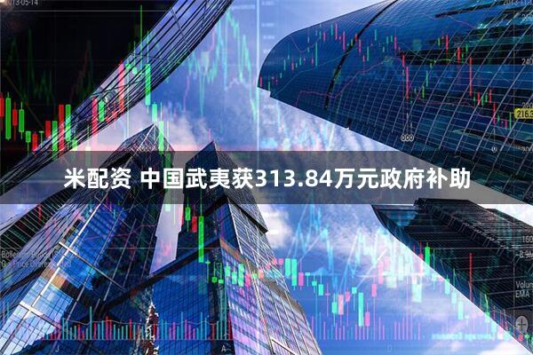 米配资 中国武夷获313.84万元政府补助