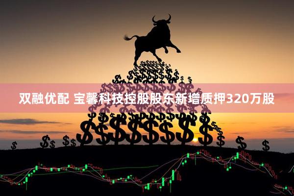 双融优配 宝馨科技控股股东新增质押320万股