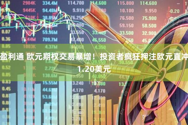 盈利通 欧元期权交易暴增！投资者疯狂押注欧元直冲1.20美元
