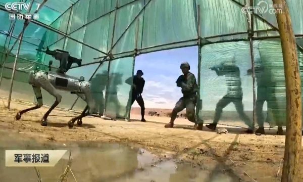 创赢盘交易 中国陆军全面进化: 士兵带机器狼进攻, 单兵无人机下放到班排