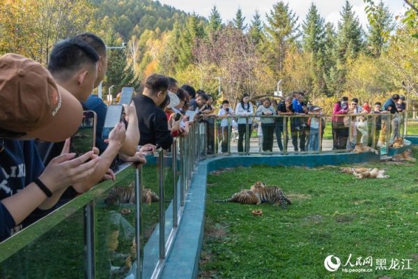 火牛网 牡丹江：景区人气旺 秋日魅力足